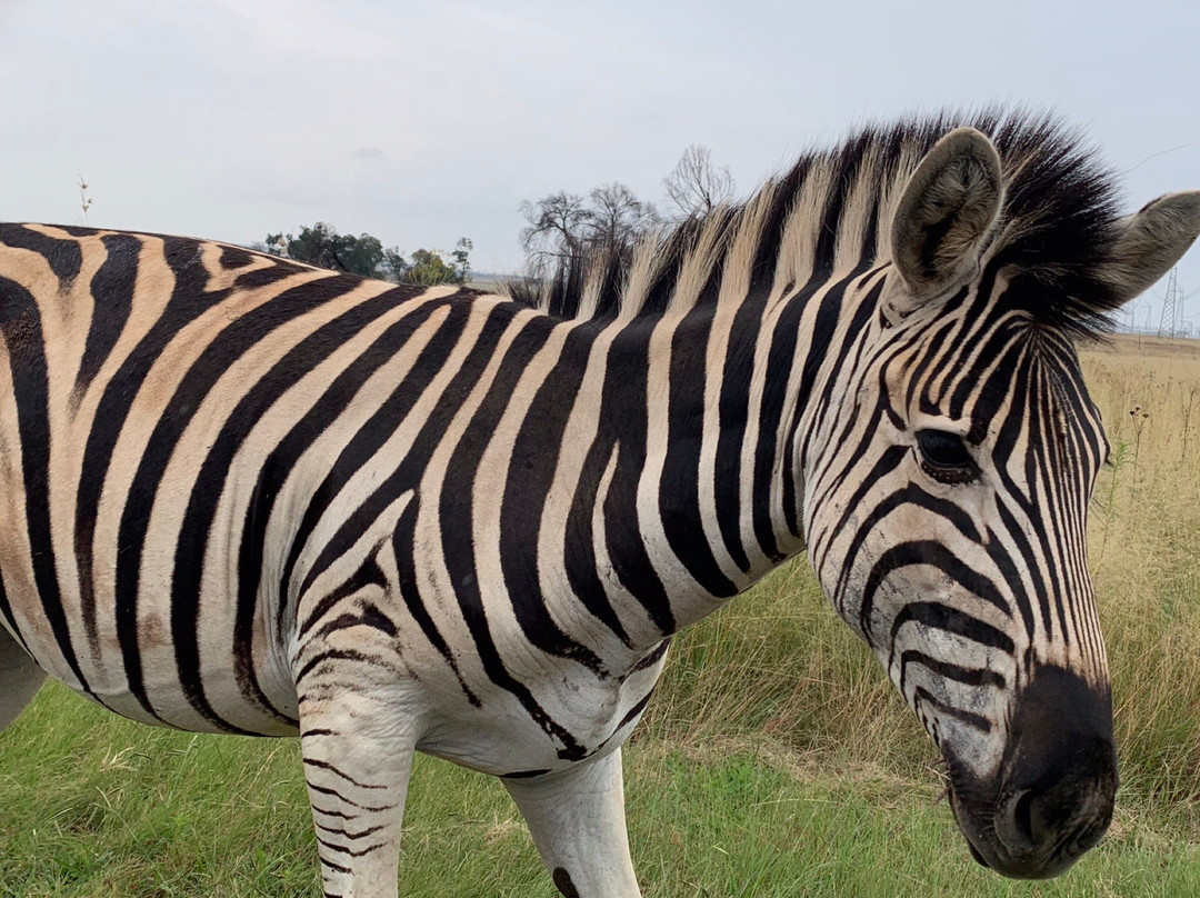 Pongoa Travel-南非西北必去景点