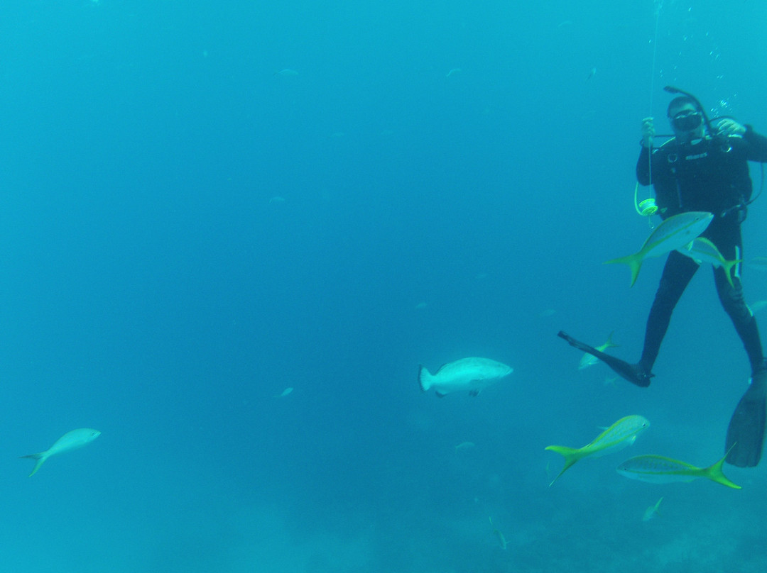 Melia Cayo Coco Diving Center景点图片