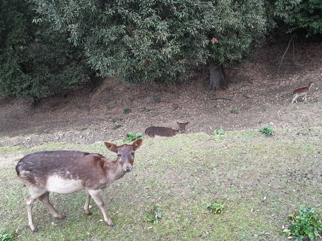 Parco Storico I Giardinetti-Lamporecchio必去景点
