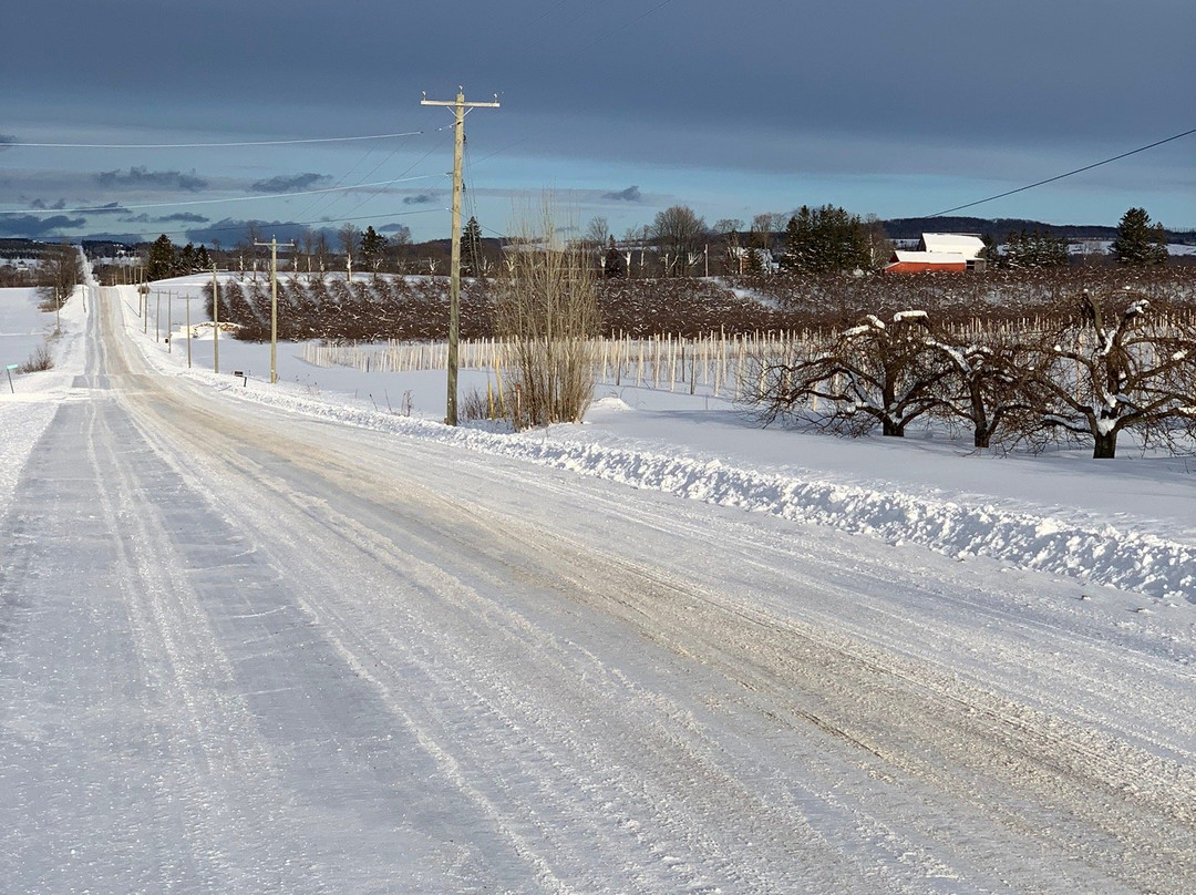 21 North B & B主图