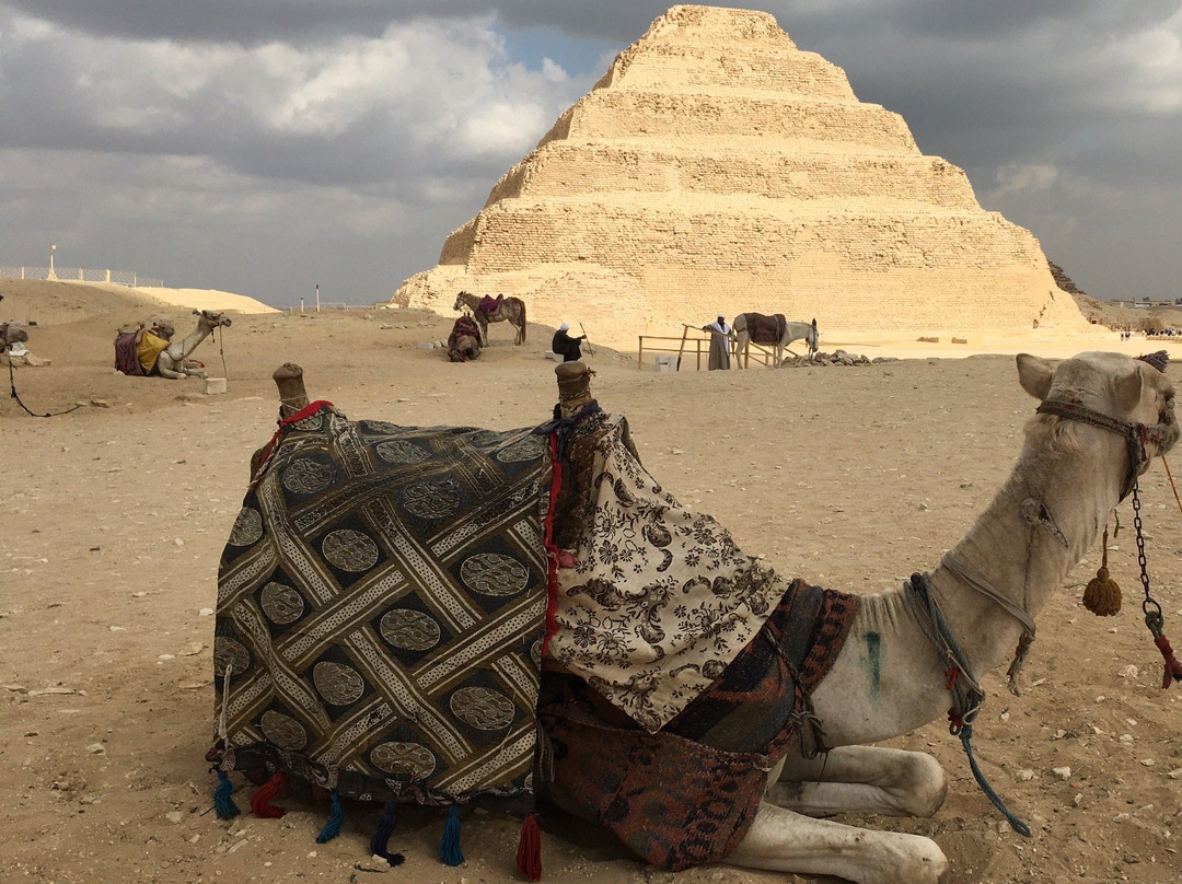 Nile Holiday- Day Tours-亚斯文必去景点