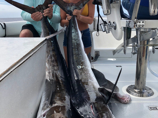 Magic Sport Fishing-火奴鲁鲁必去景点