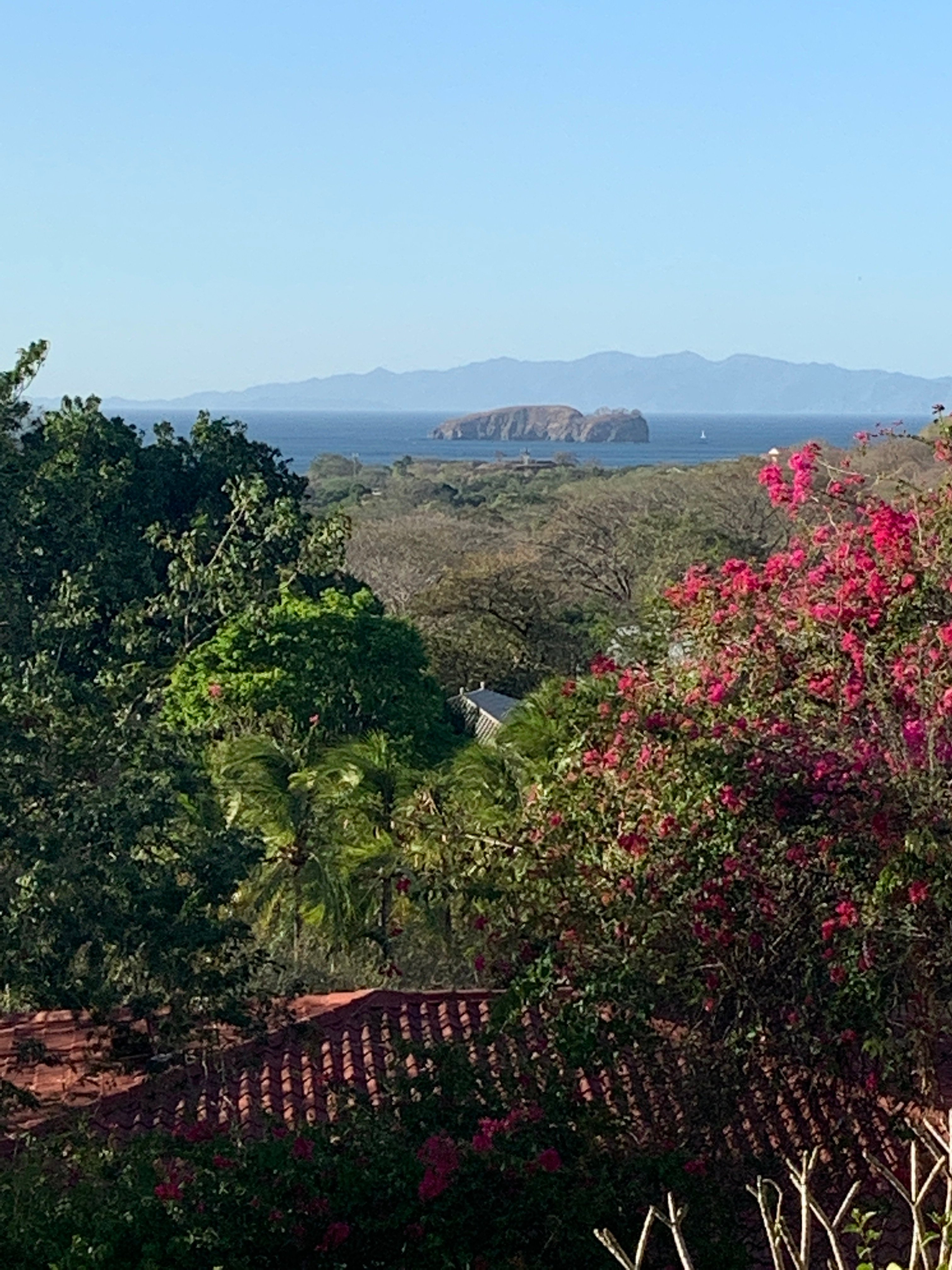 Rancho Armadillo Estate-官方