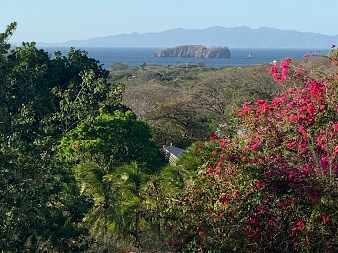 Rancho Armadillo Estate主图