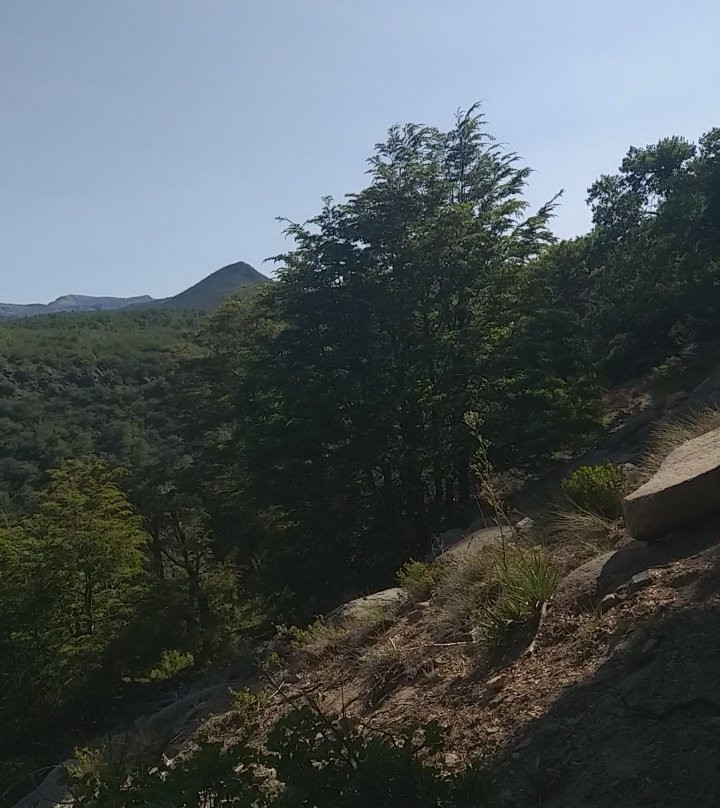 Reserva Nacional Altos de Lircay景点图片