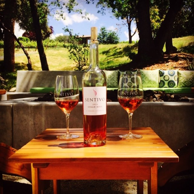 Sentivo Vineyards & Winery景点图片