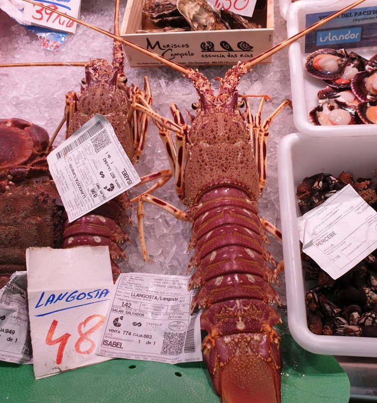 Mercat Central de Castelló景点图片