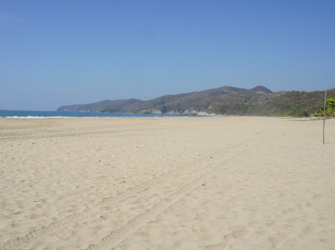 Playa Larga景点图片