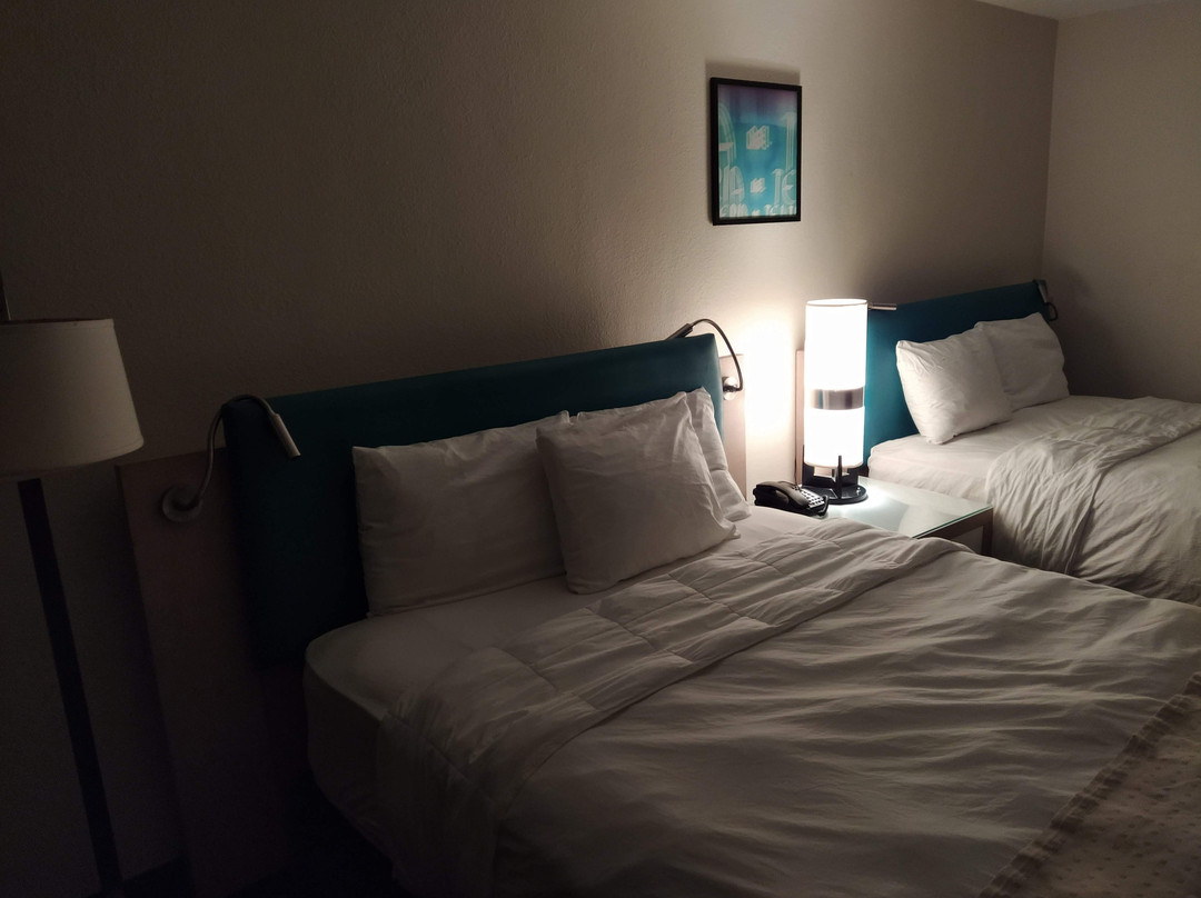 佛罗里达人酒店主图