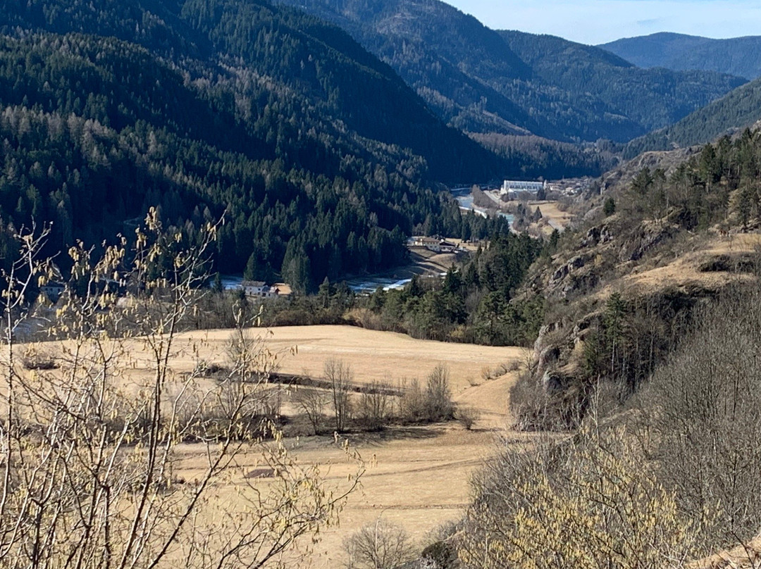 Parco della Pieve-Cavalese必去景点