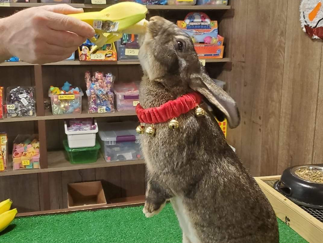 Putt N Play-Stevens Point必去景点