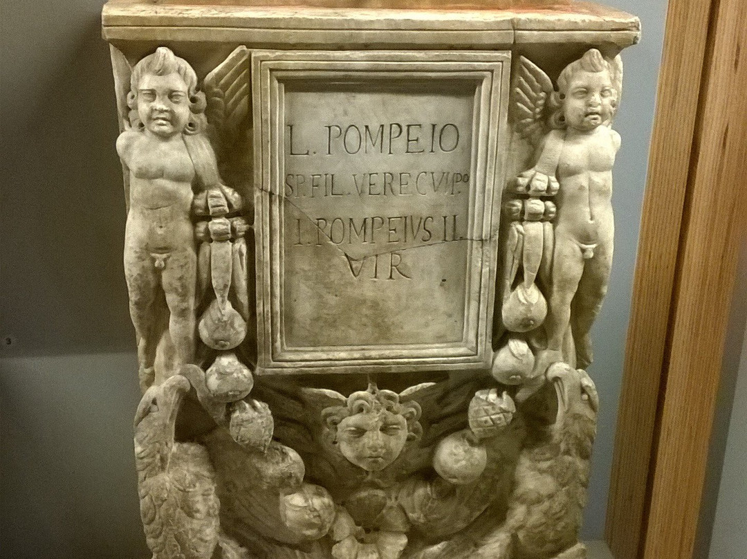 Musée ou Logis Pincé景点图片