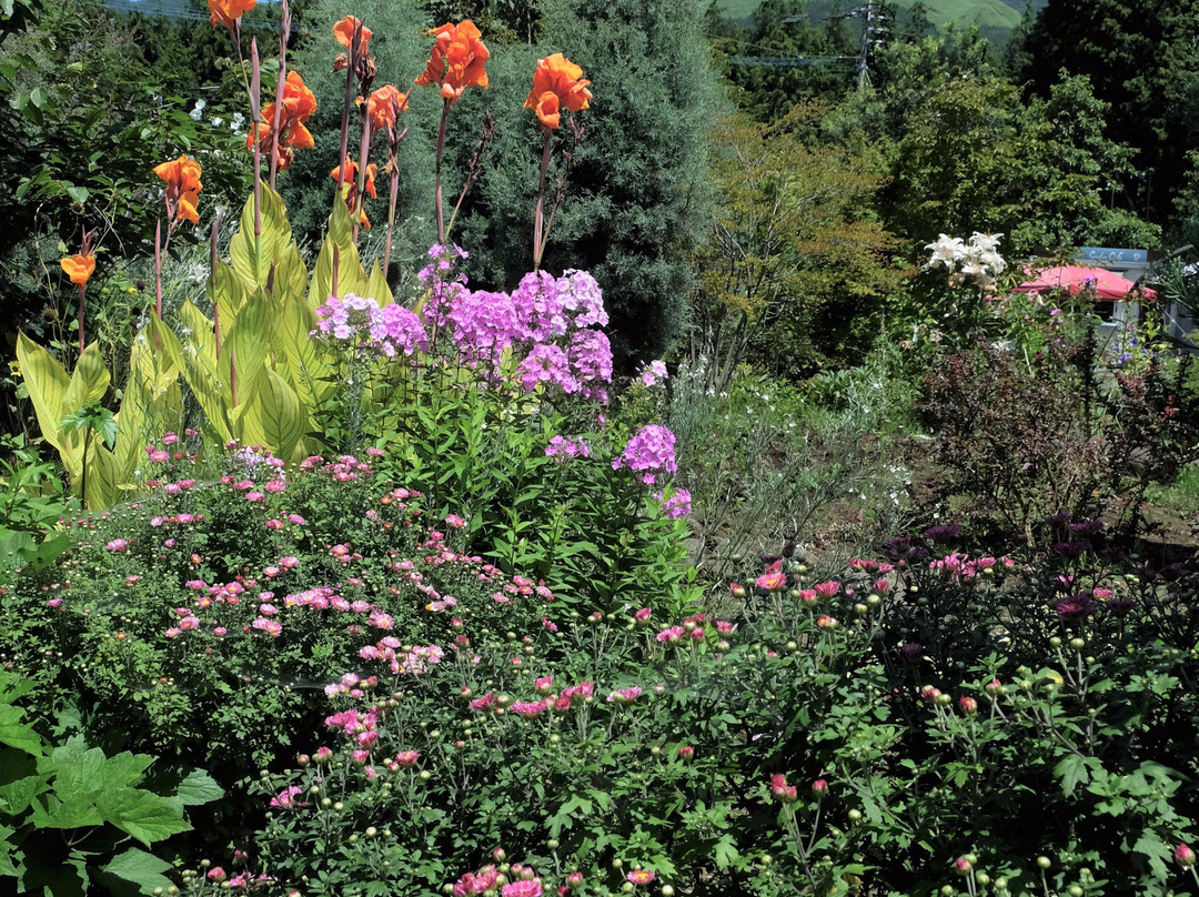 English Garden Minamiaso景点图片