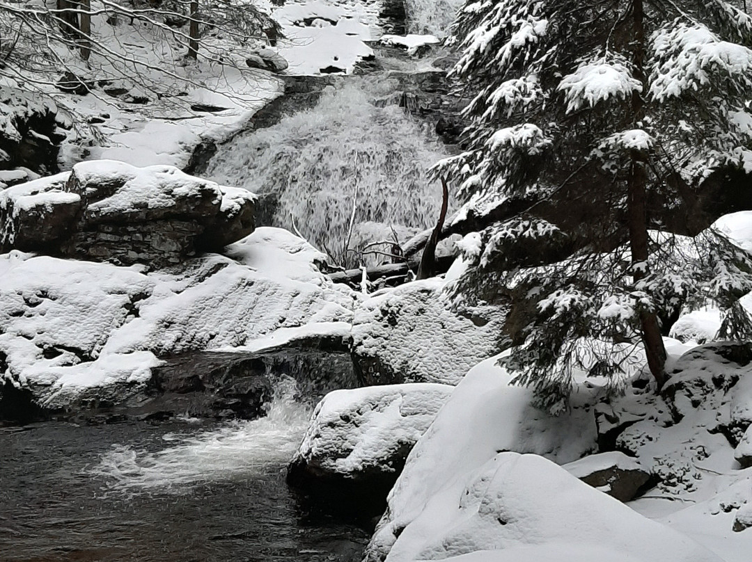 Rissloch Waterfalls景点图片