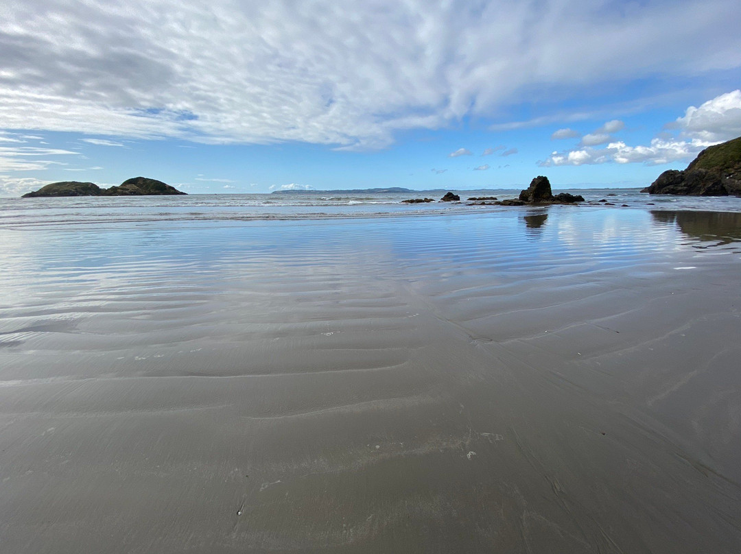 Islotes de Punihuil-奇洛埃岛必去景点