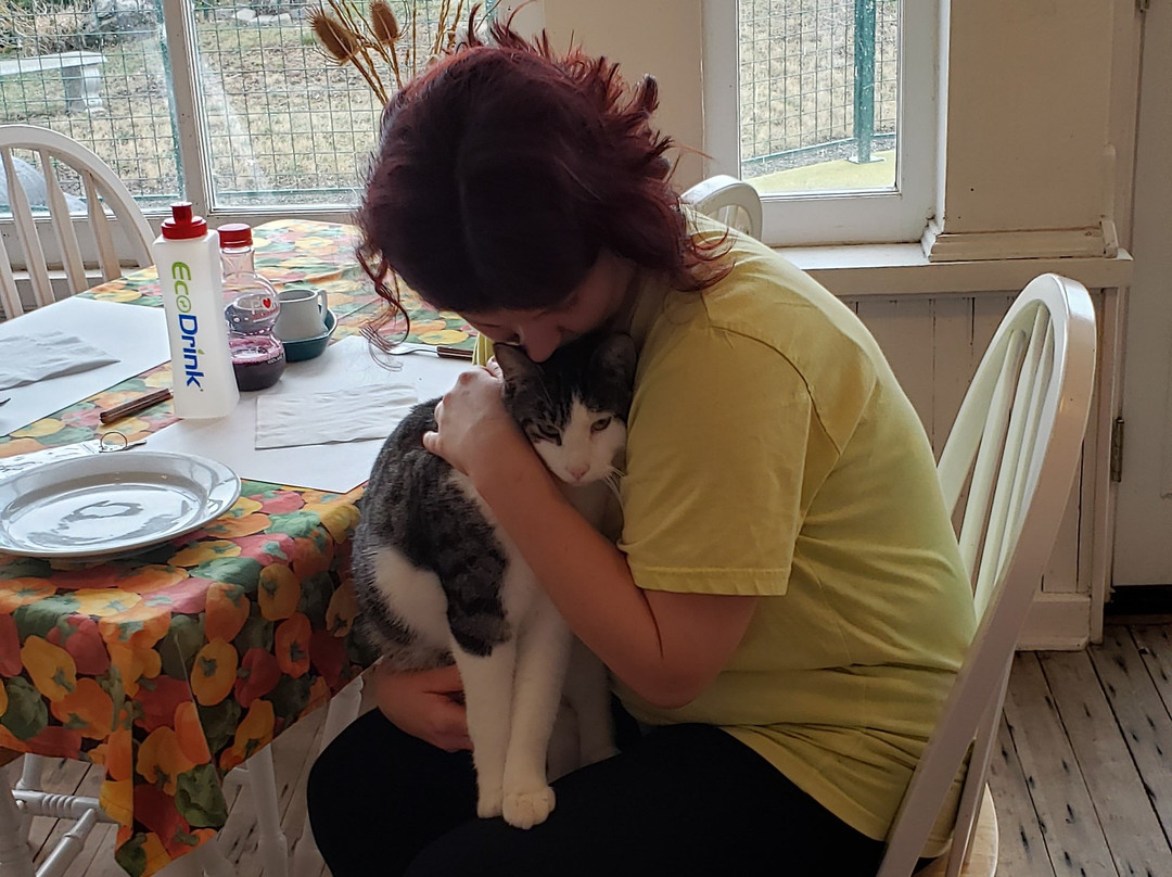 Hot Lake Springs Bed and Breakfast主图