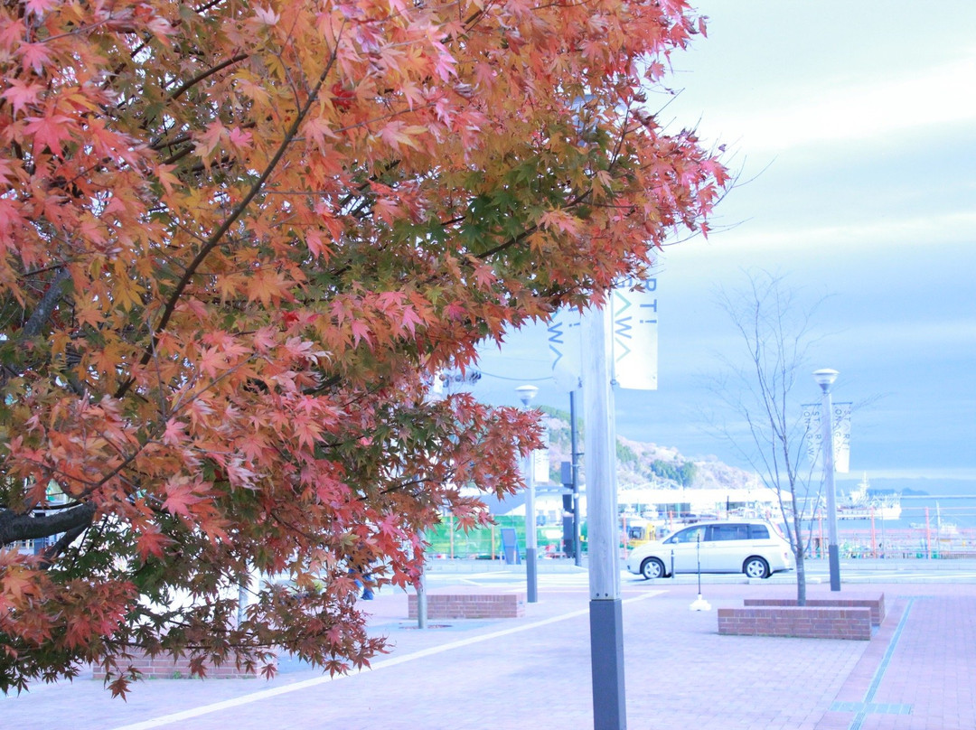 Seapal Pier Onagawa-女川町必去景点