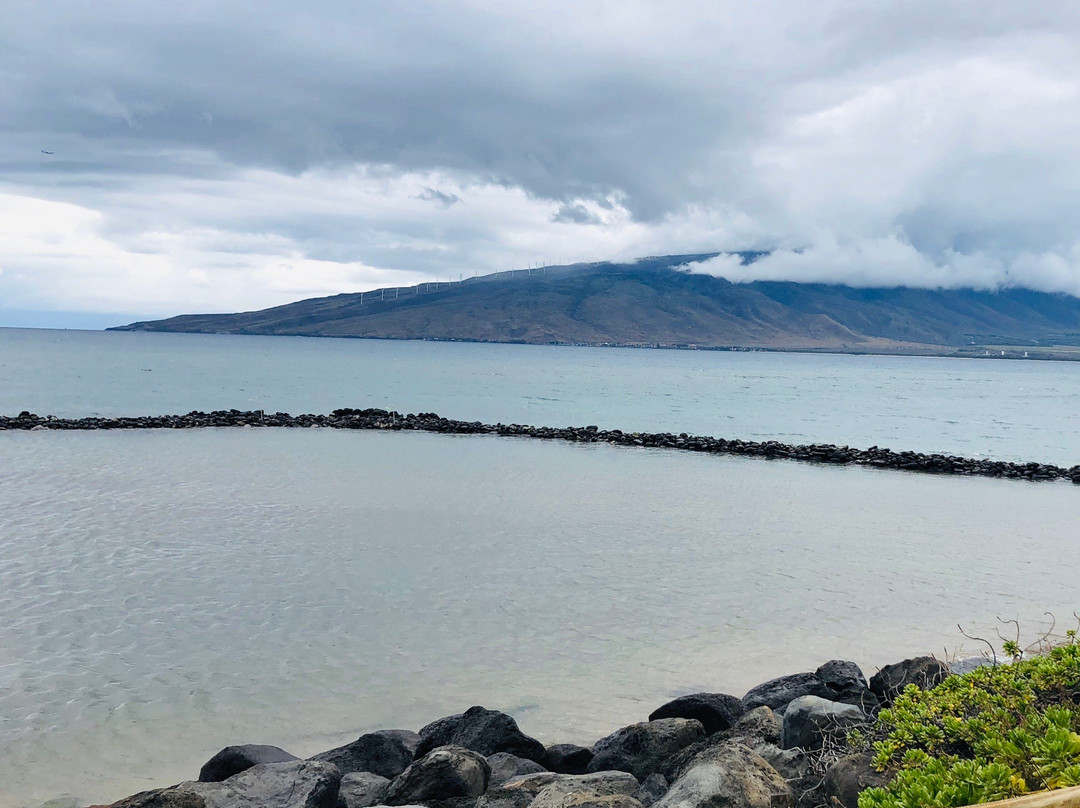 Hawaiian Islands Humpback Whale Sanctuary Visitor Center-基黑必去景点