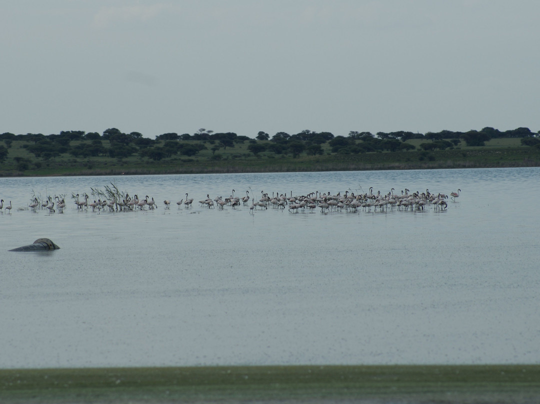 75 on Milner Lodge主图