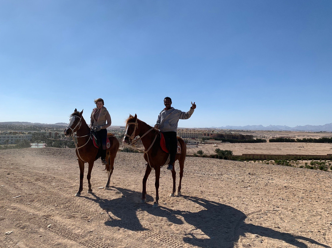 Sharm-达哈卜必去景点
