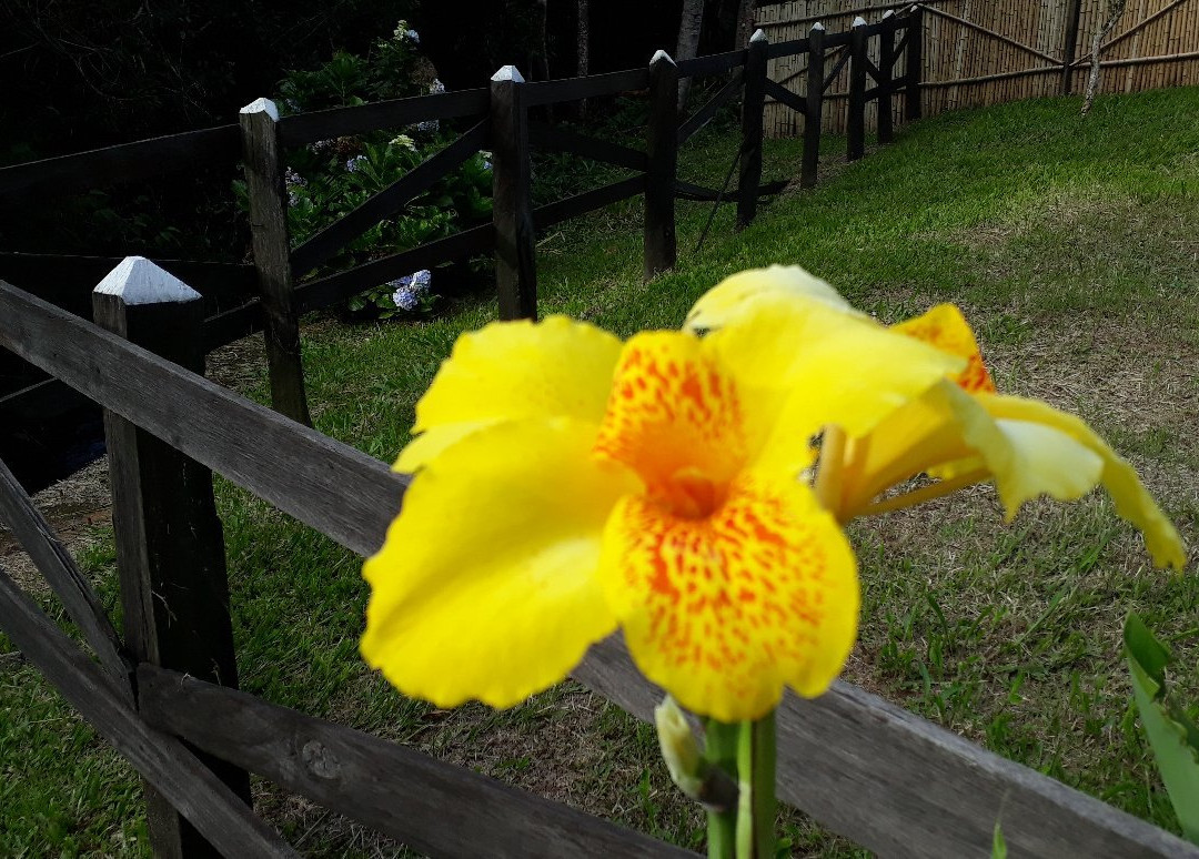 Floresta Nacional de Passa Quatro-Passa Quatro必去景点