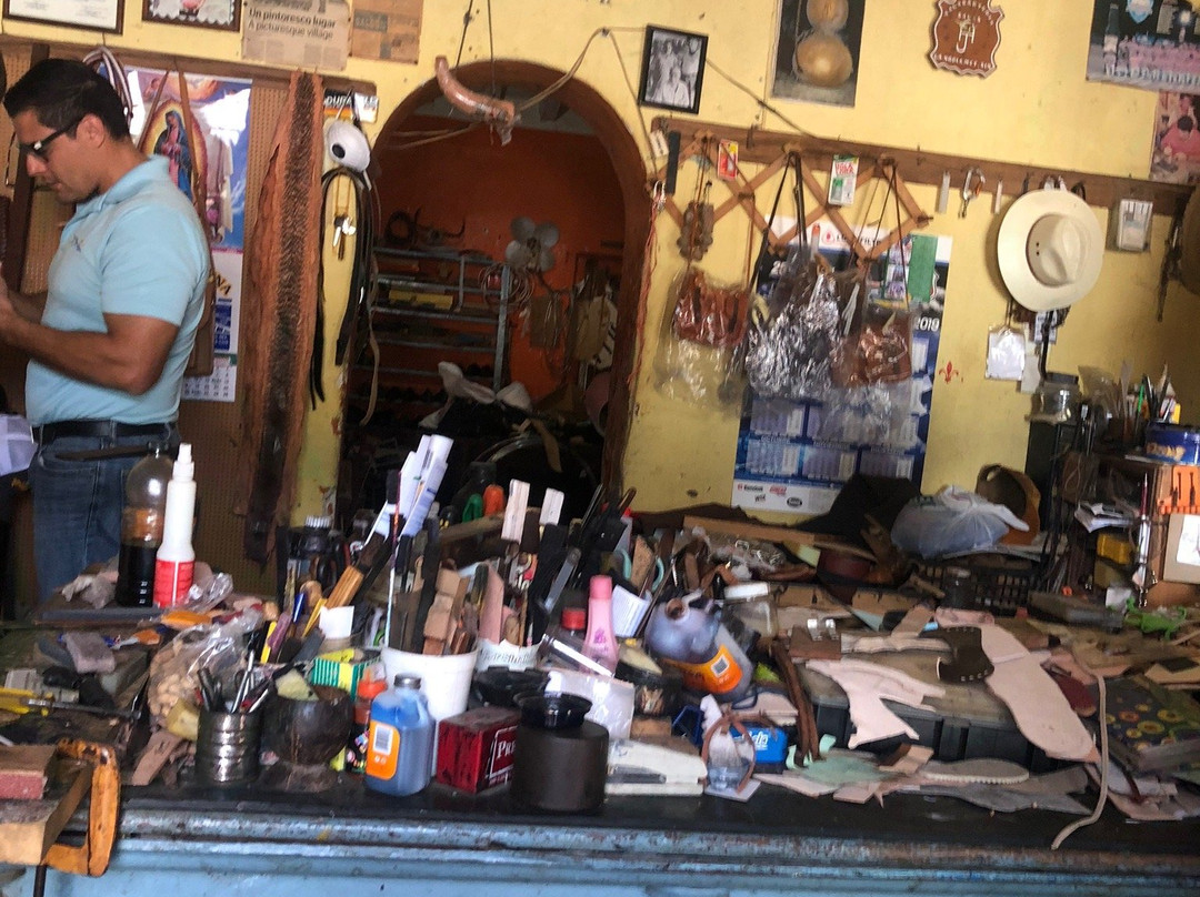 Tour Guide Mazatlan-马萨特兰必去景点