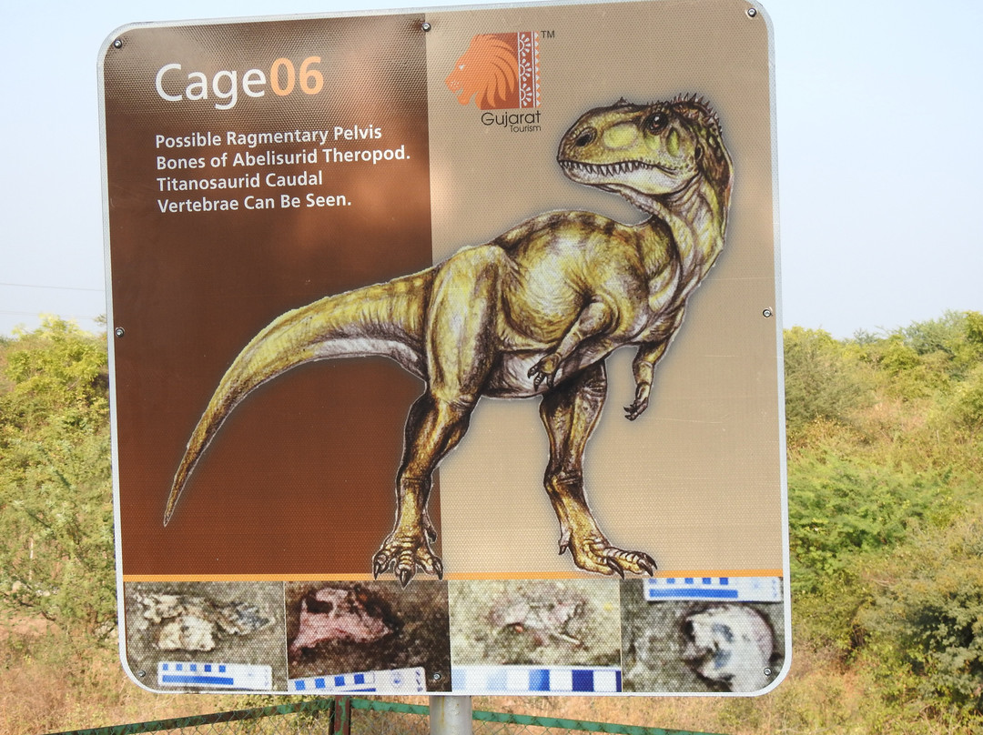 Dinosaur Fossil Park and Museum景点图片