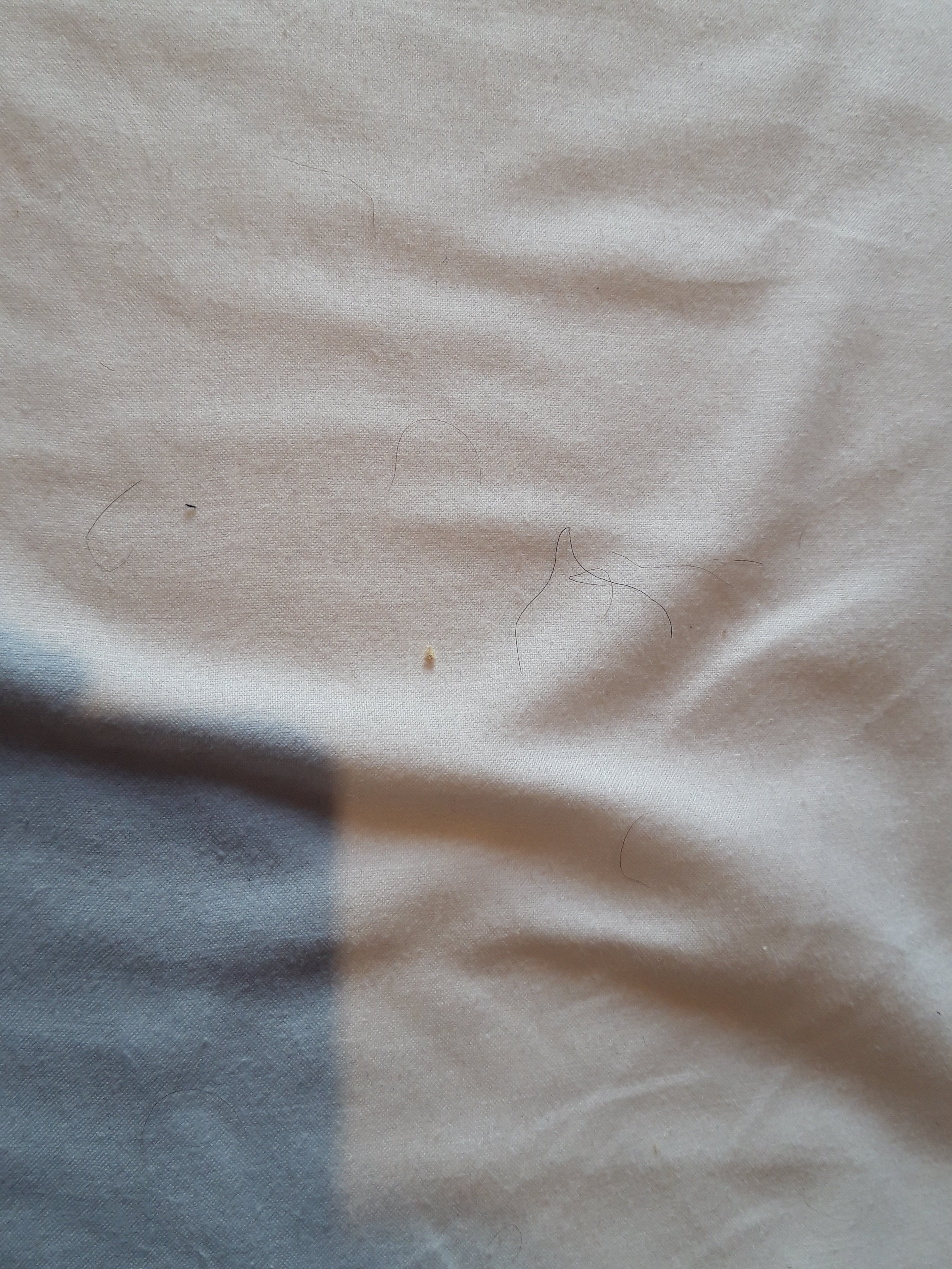 多农山酒店-酒店景观