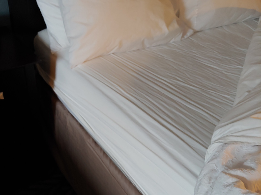 Hampton Inn Crystal River, FL主图