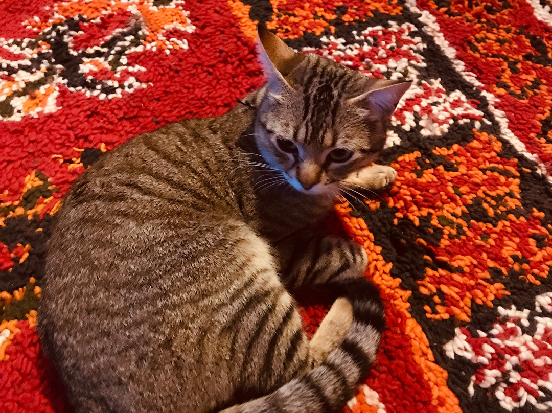 Heart Enjoy Morocco-马拉喀什必去景点