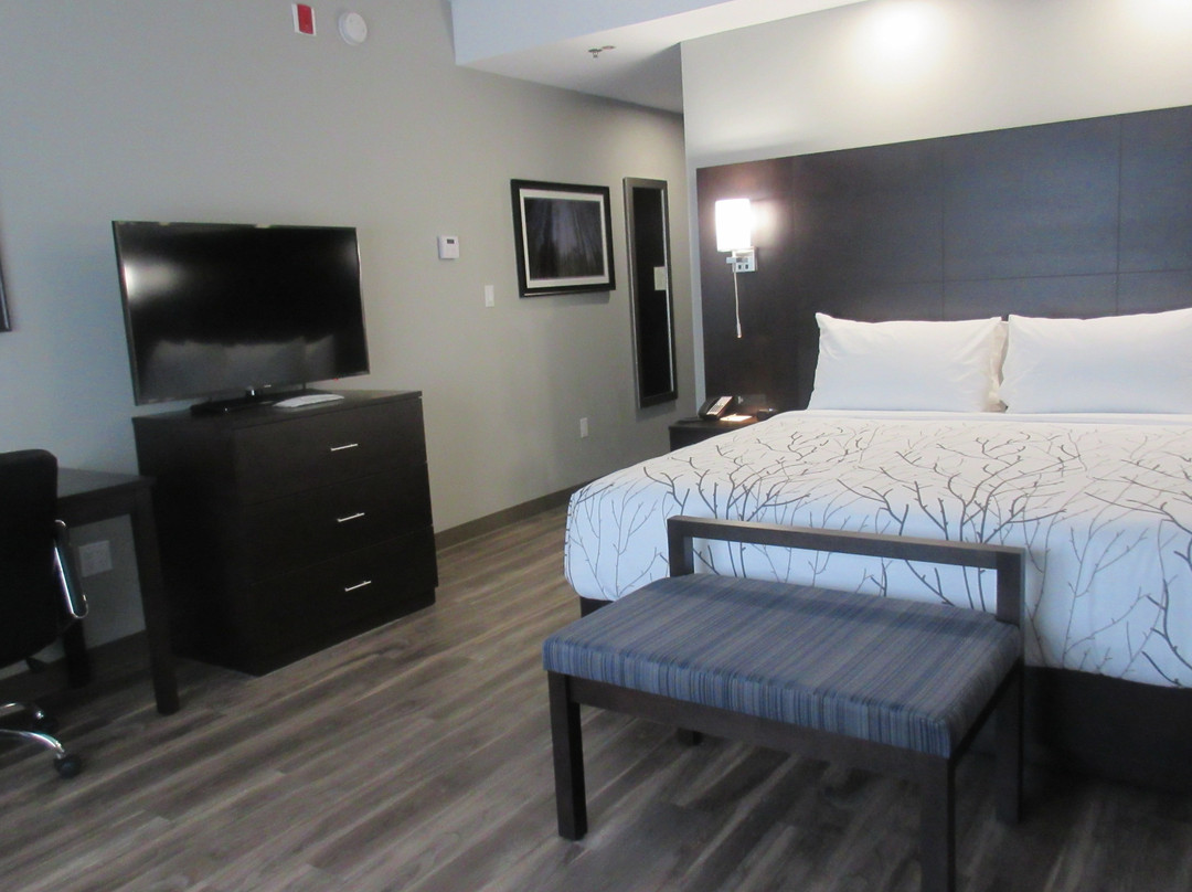 Best Western Premier Northwood Hotel主图