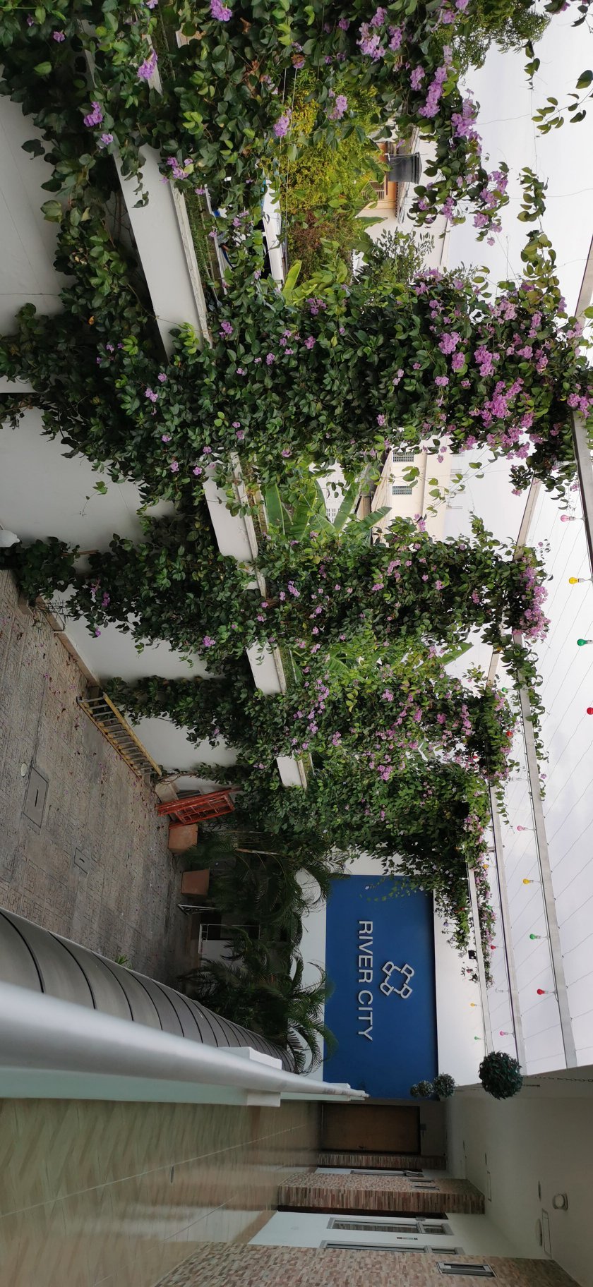 River City Hotel-官方