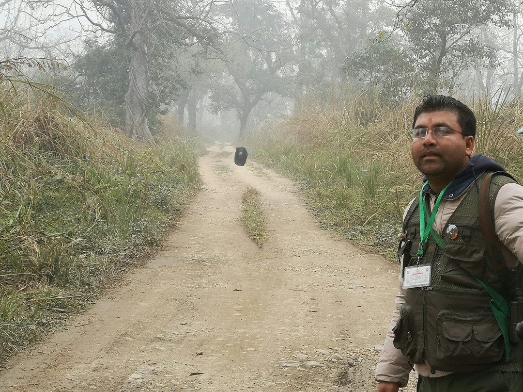Jungle safari tours-奇旺国家公国必去景点