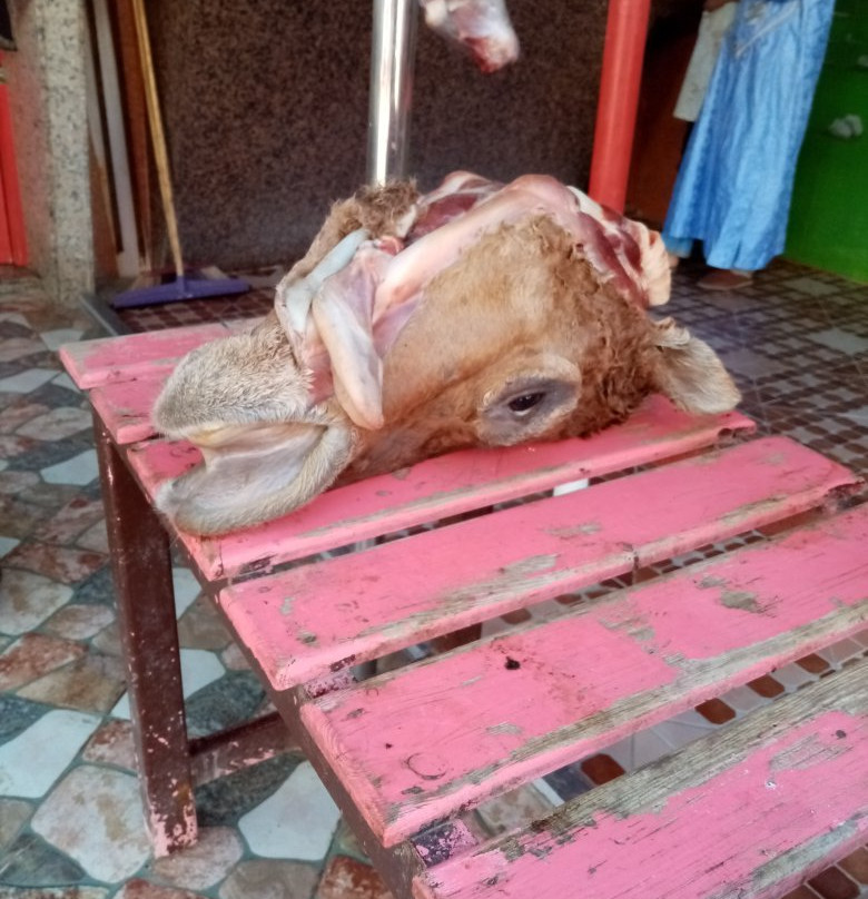 Ifni Surf-Sidi Ifni必去景点