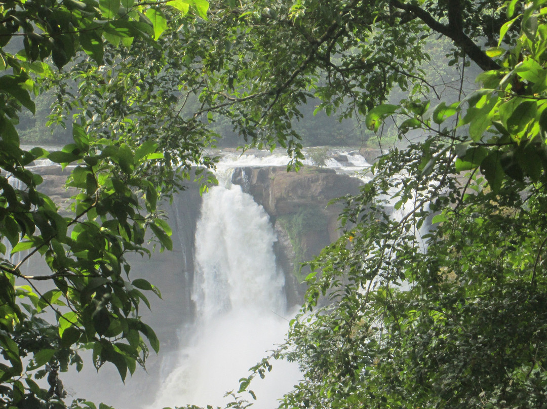 Chalakudy River景点图片