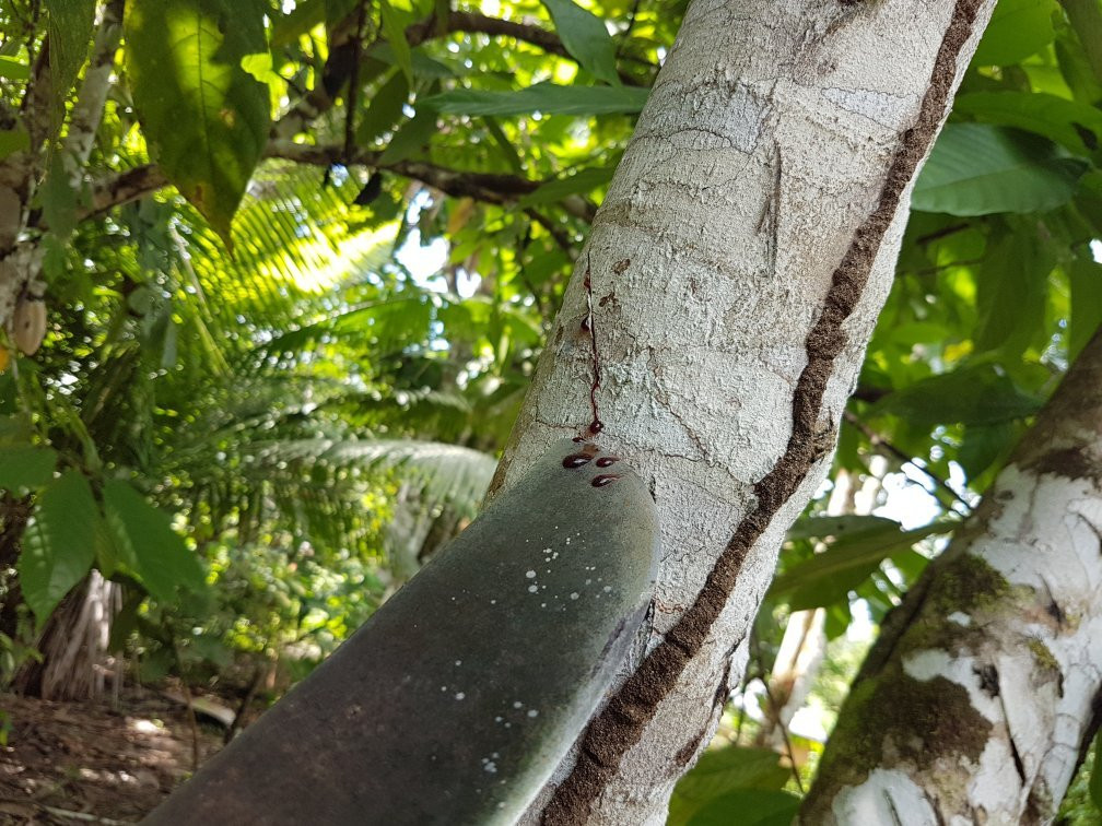 Kawsay Amazon Jungle Tours & Adventures-Indiana必去景点