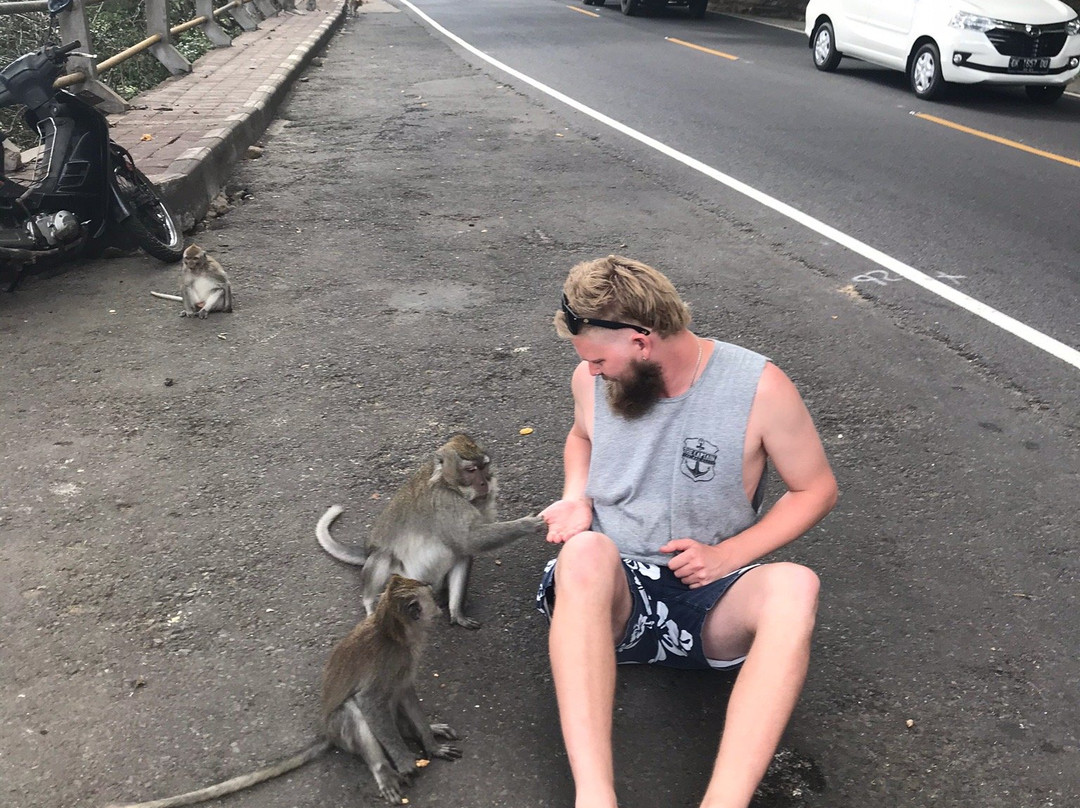 Oka bali tour-沙努尔必去景点