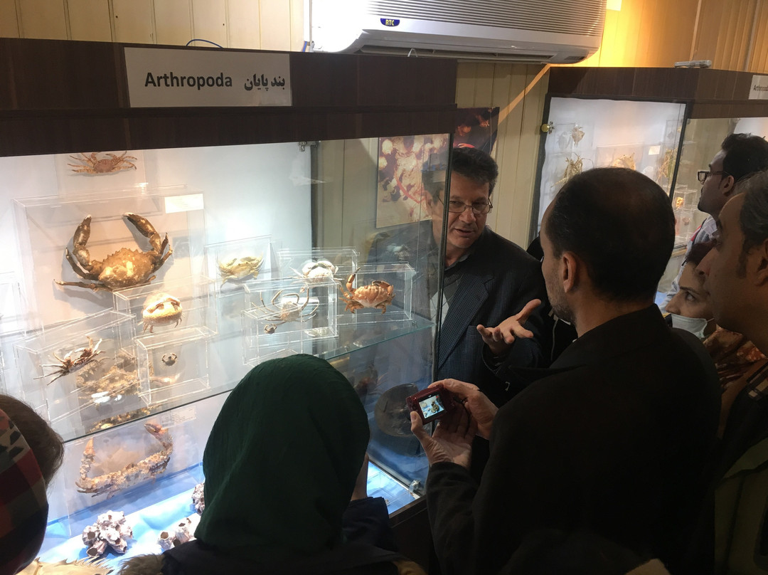 Isfahan Seashell Museum景点图片