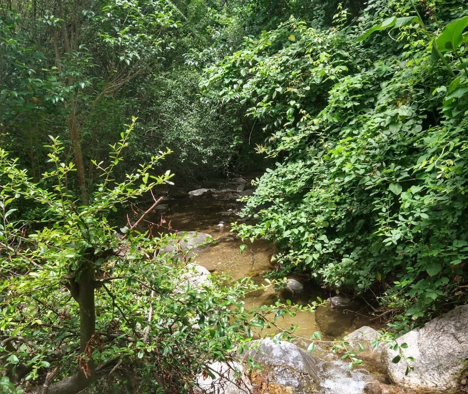 Cascada de Los Helechos景点图片
