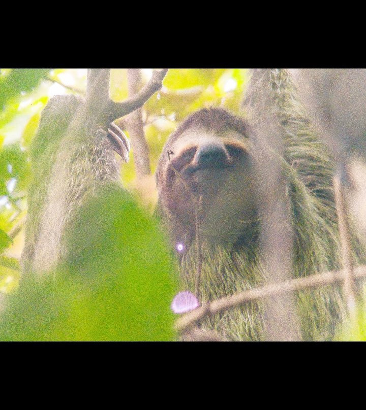 Costa Rica Wáköö Tours-哥斯达黎加安东尼奥国家公园必去景点