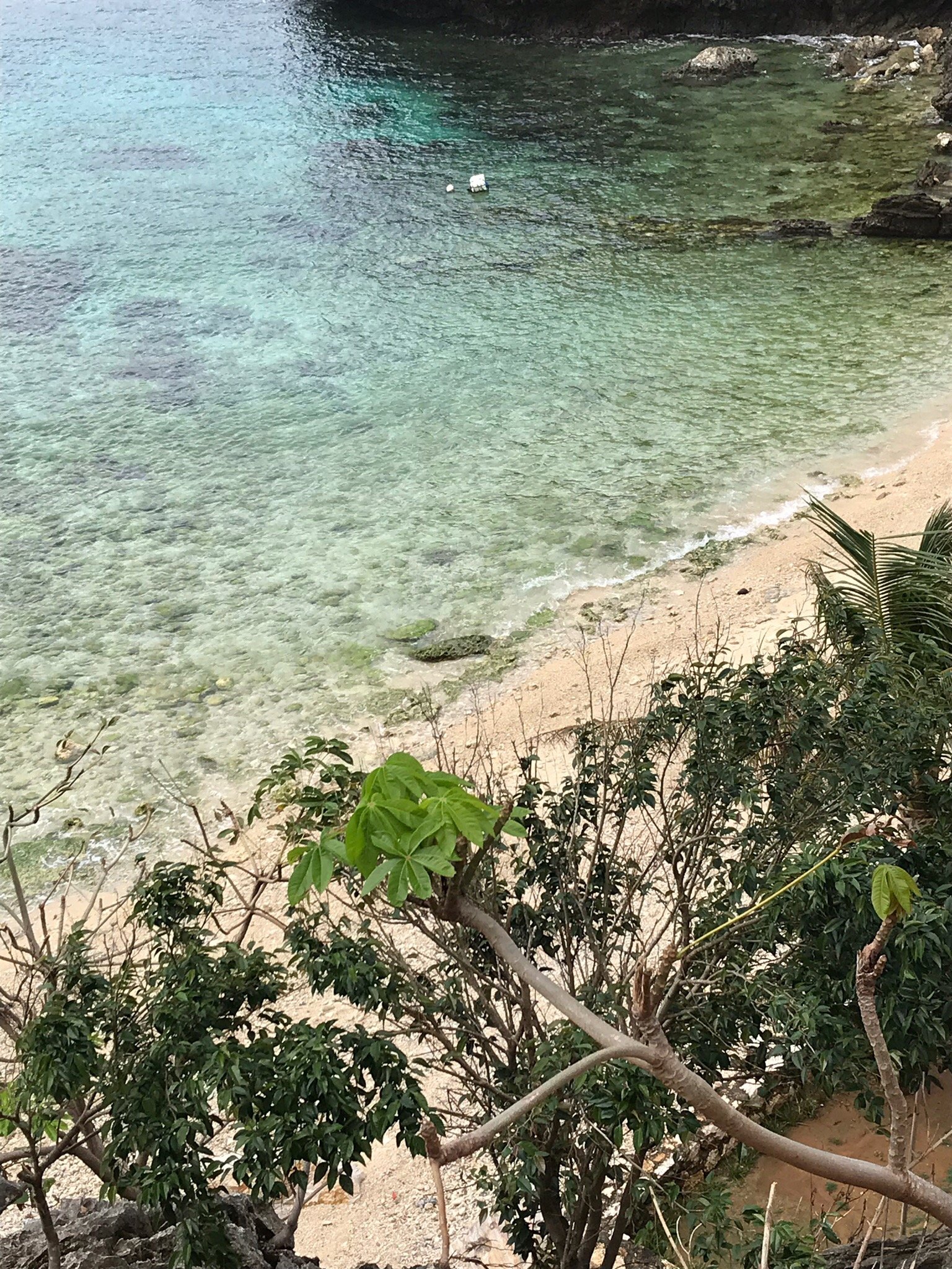 Tinaoog Beach Resort-官方