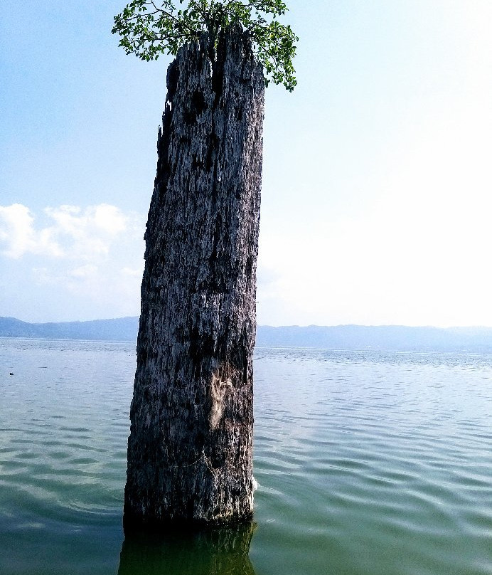 Lake Bosumtwi景点图片