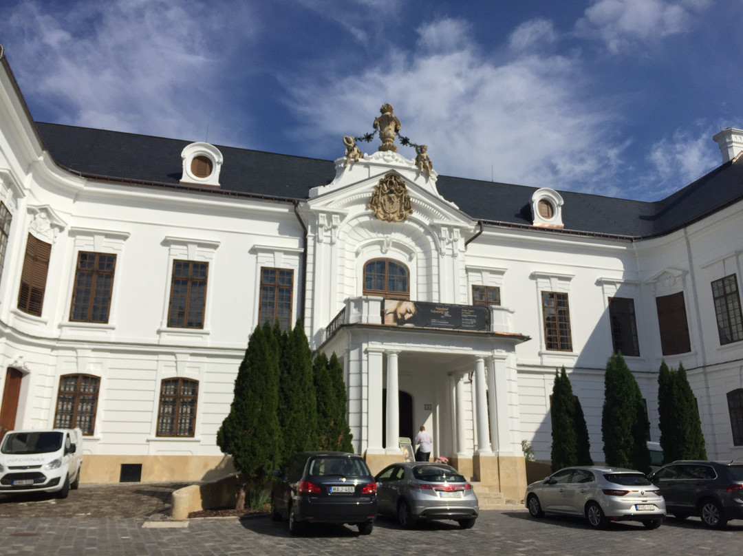 Bishop's Palace (Puspok Palota)景点图片