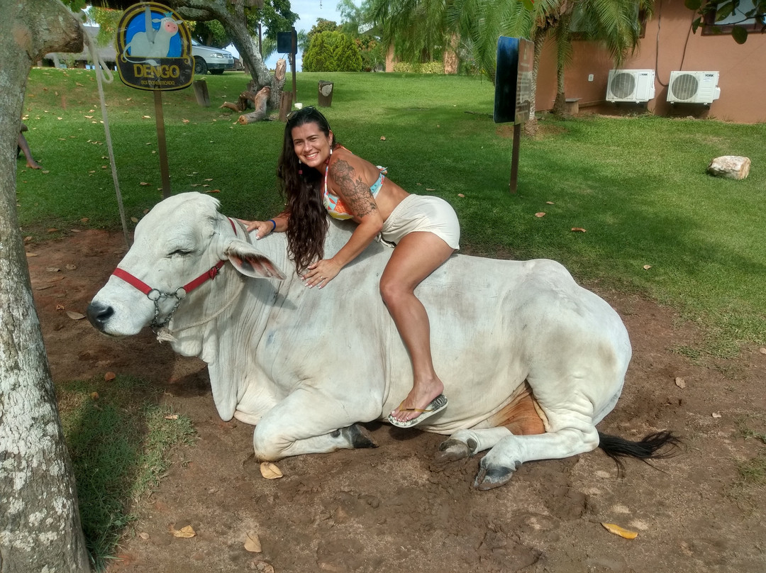 Sitio Ilha do Lazer景点图片