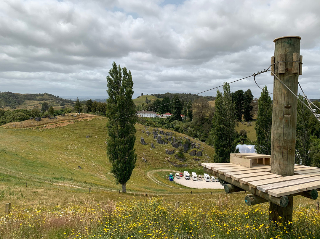 Waitomo Caves Ziplines景点图片