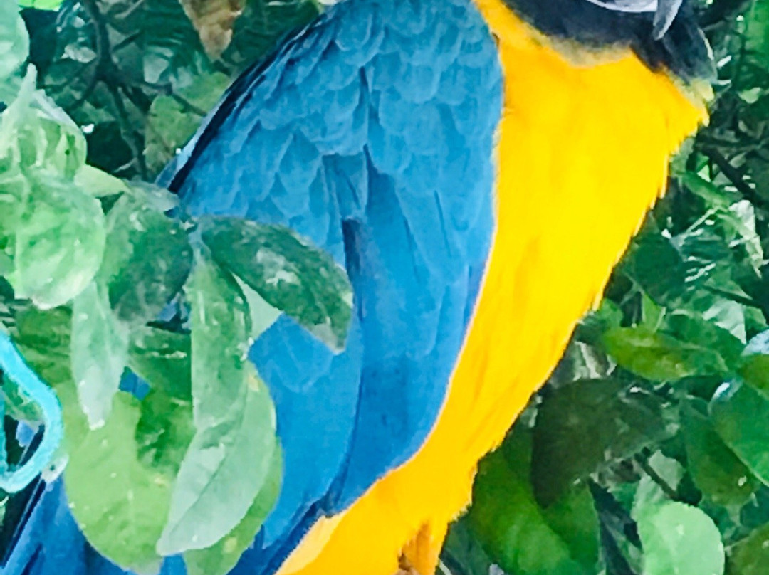 Finca Hotel El Manantial主图