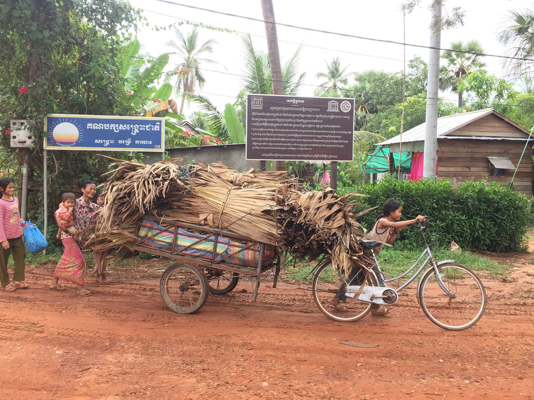 Paramount Angkor Travel & Tours景点图片