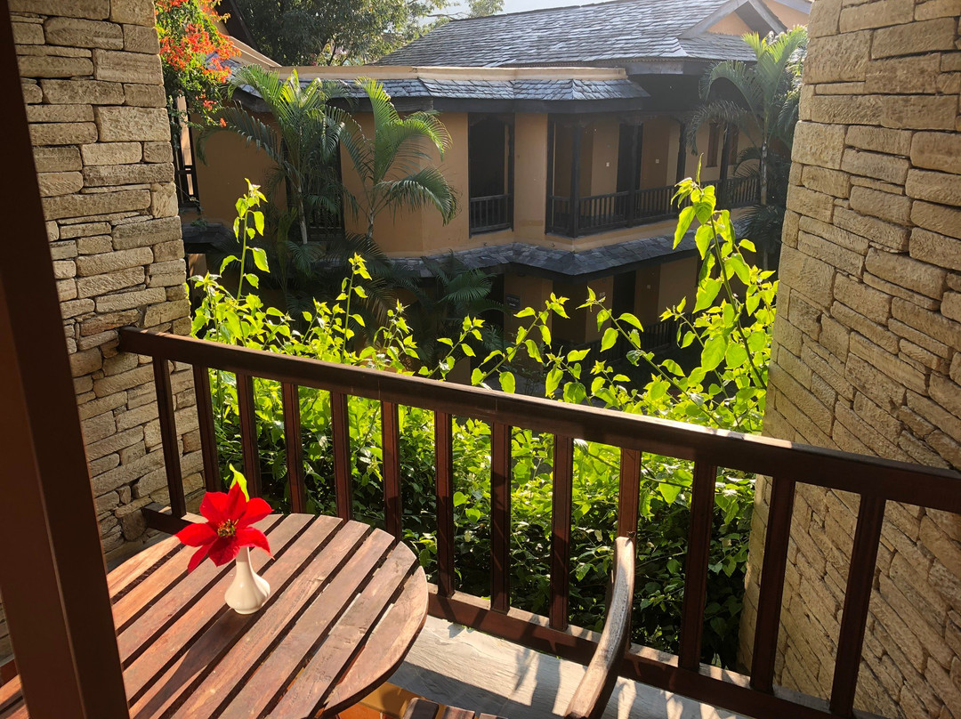 寺庙树温泉度假村主图