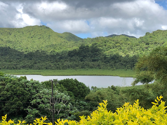 Mandoo's Tour & Taxi Service-St. George's必去景点