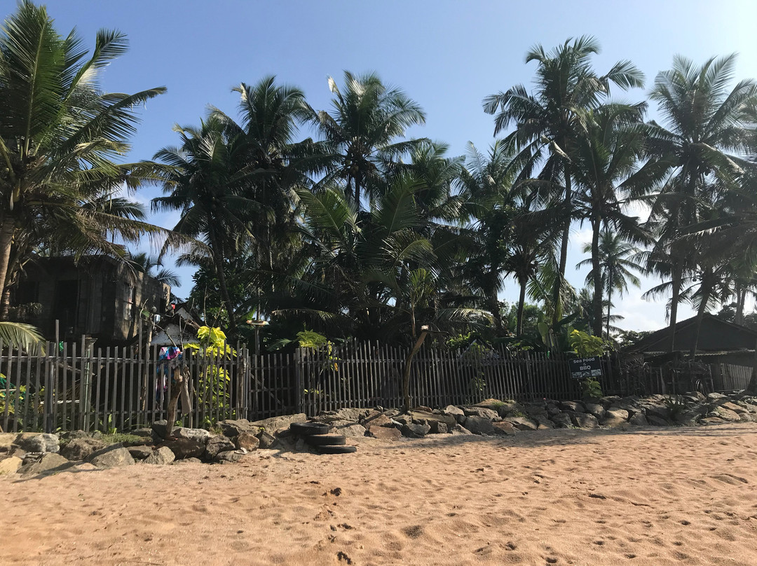 Rosa Shashi Cabanas主图